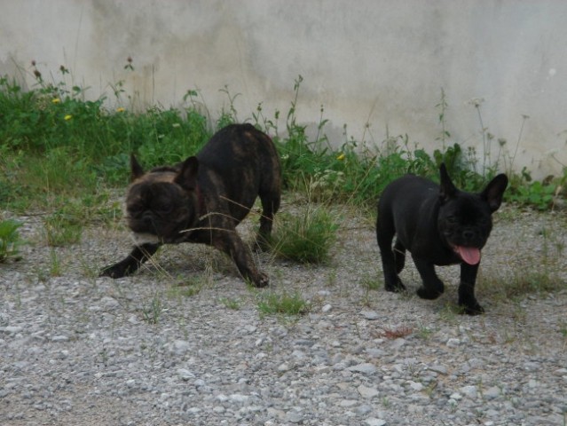 Travnik - foto