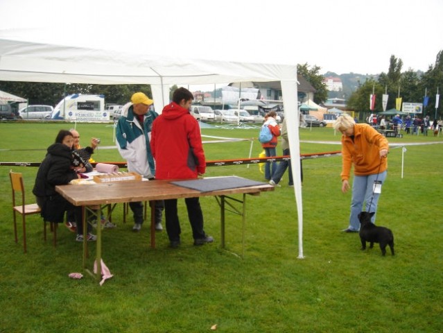 CACIB Lendava 2005 - foto