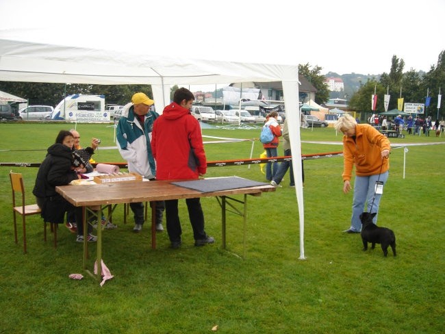 CACIB Lendava 2005 - foto povečava