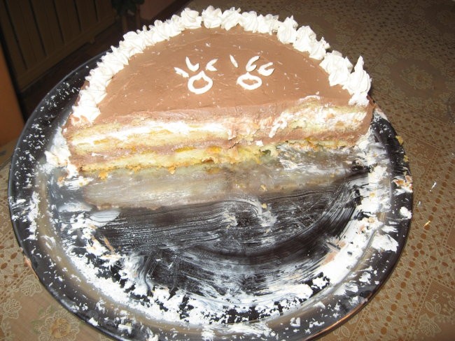 Dvojna čokoladna torta jade