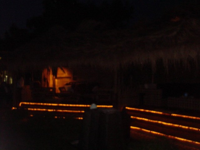Debeli rtic - poletje 2006 - foto