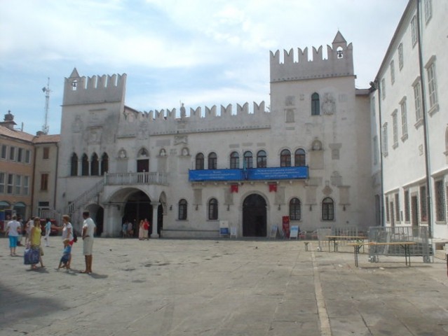 Debeli rtic - poletje 2006 - foto