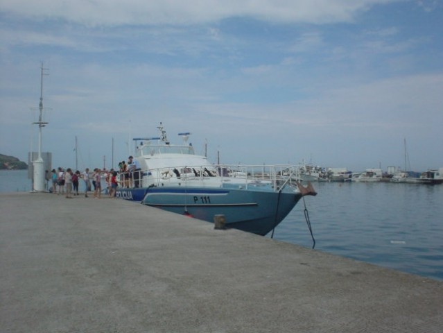 Debeli rtic - poletje 2006 - foto