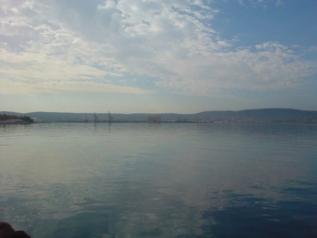 Debeli rtic - poletje 2006 - foto