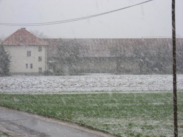 Sneg gre 2008 - foto