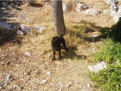 Kornati - foto