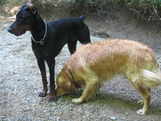 V Rakovem Škocijanu - foto povečava