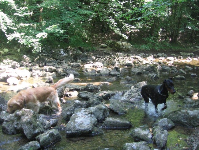 V Rakovem Škocijanu - foto povečava