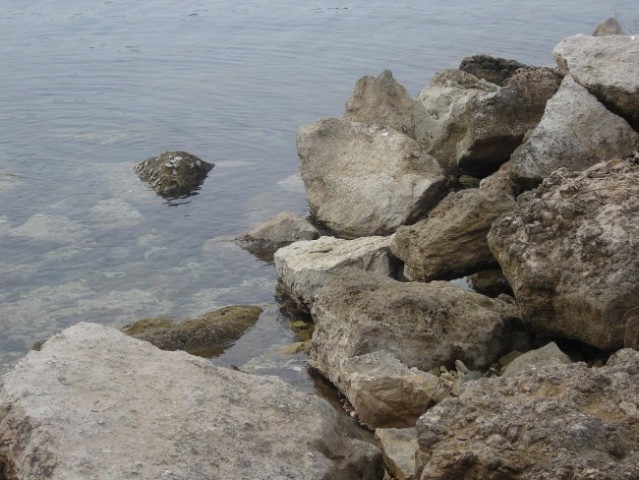 Piran, februar 2007 - foto