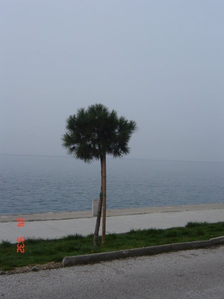 Piran, februar 2007 - foto povečava
