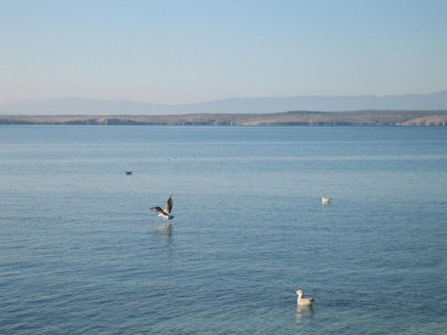 Crikvenica - foto