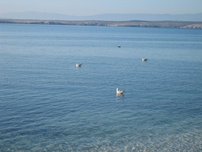 Crikvenica - foto povečava