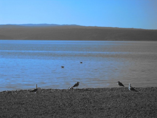 Crikvenica - foto