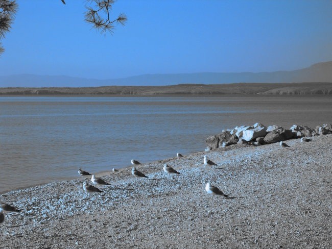 Crikvenica - foto povečava