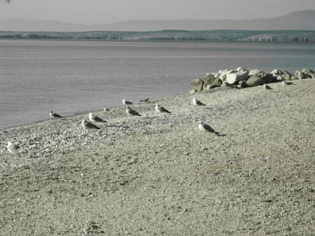 Crikvenica - foto