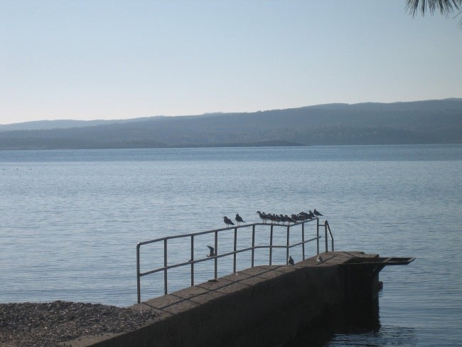 Crikvenica - foto povečava