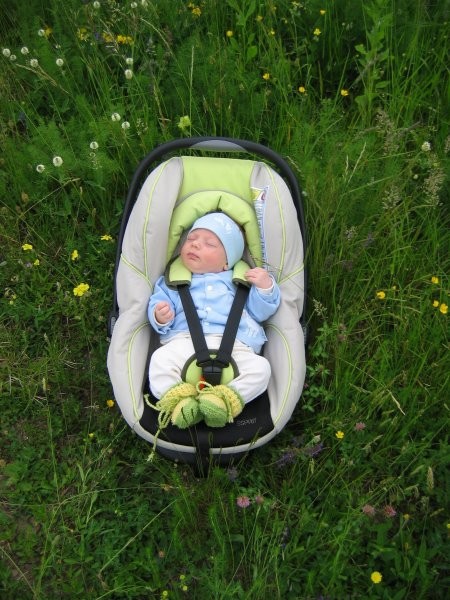 Rok - foto povečava