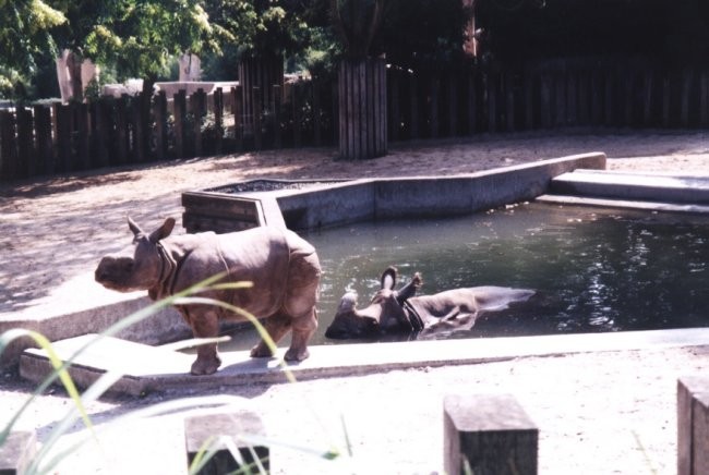 ZOO Stuttgart-Wilhelma - foto povečava