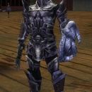 Warrior Kurzick 15k armor dyed silver
