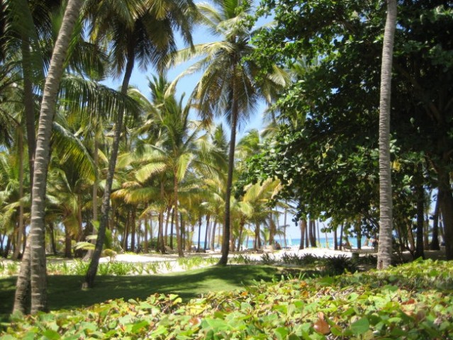 Dominikanska republika - foto