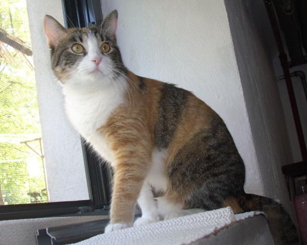 Donna