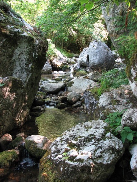 Koseška korita/Kozjak - foto povečava