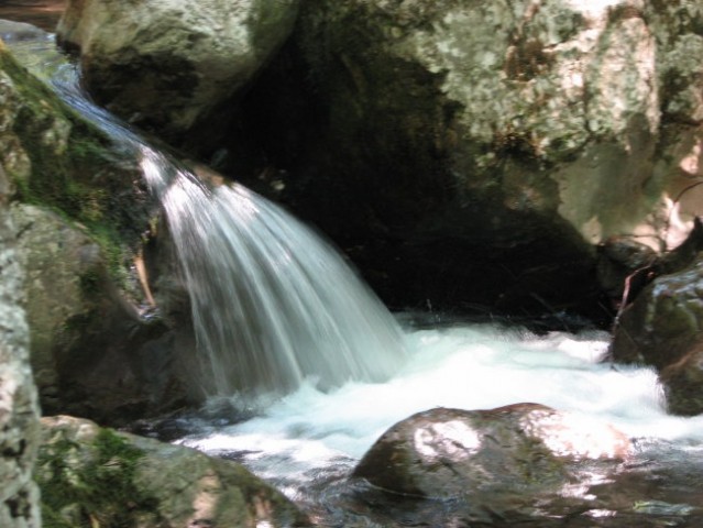 Koseška korita/Kozjak - foto