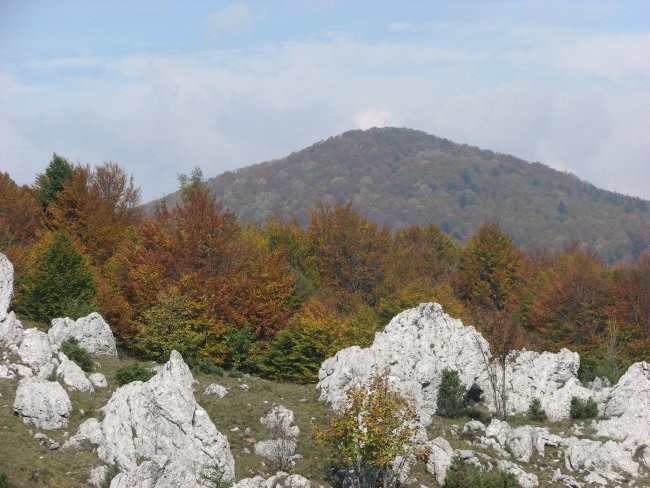 KUCELJ jeseni - foto povečava