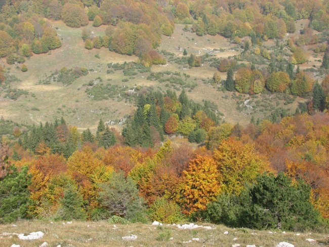 KUCELJ jeseni - foto povečava