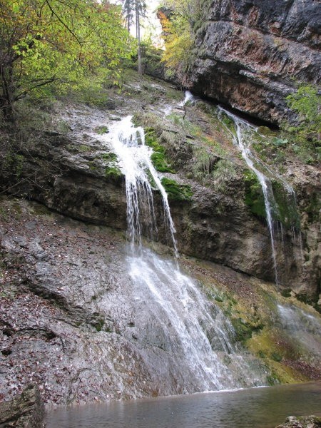 PEKEL - foto povečava