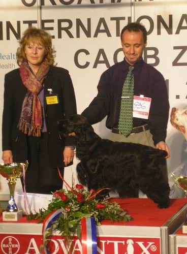 CACIB Zagreb - foto