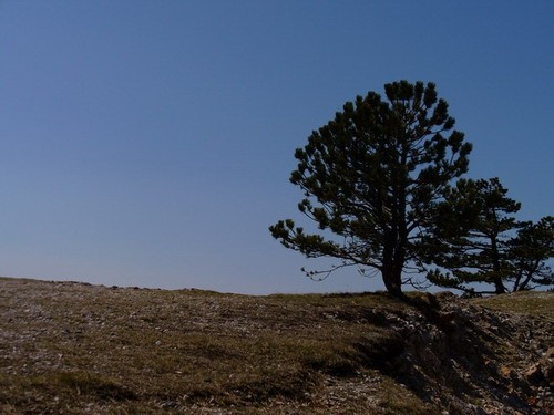 Sky na moru - foto