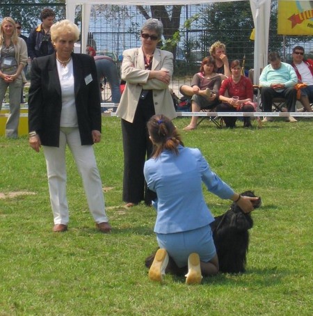 CAC Split 2006. - foto