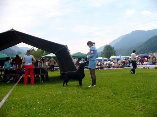 CAC Hrušica - foto