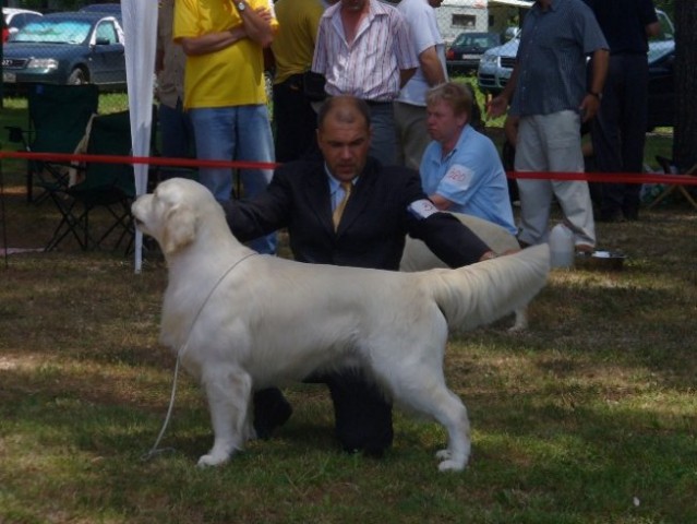 CACIB Umag '06 - foto