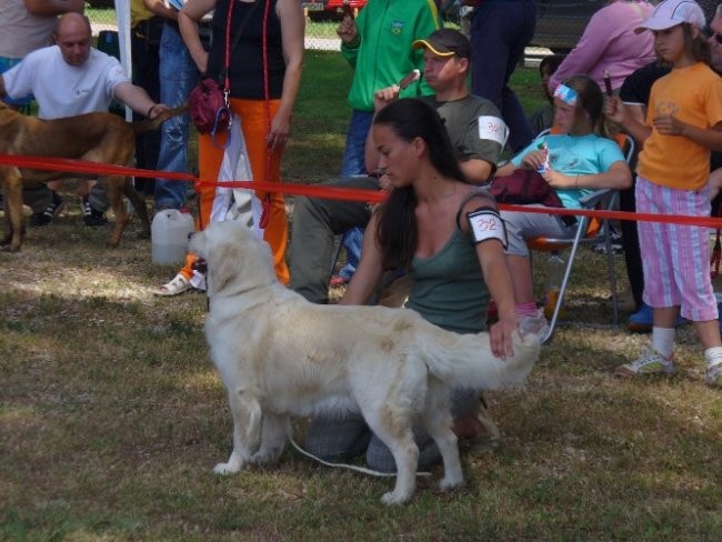 CACIB Umag '06 - foto povečava