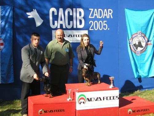 CACIB Zadar - foto