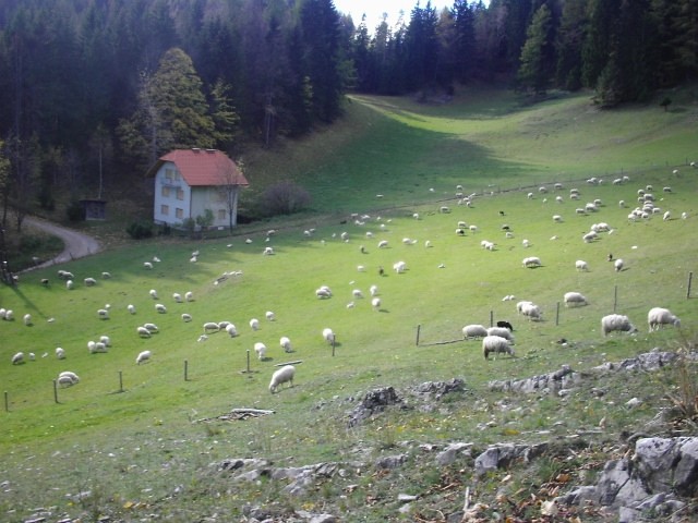 Vikend na plešivcu - foto