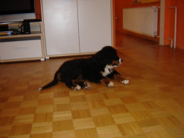 3. mesec - foto