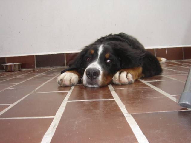 Stinica (29.9.-1.10.06) - foto