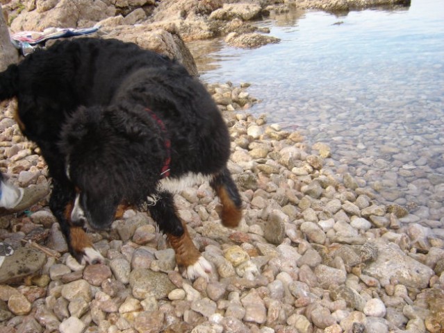 Stinica (29.9.-1.10.06) - foto