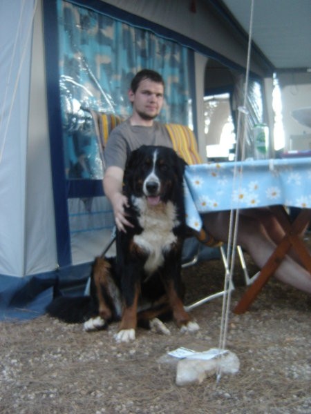Novigrad (7.7.-16.7.07) - foto povečava