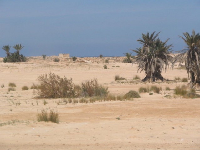 DJERBA - foto