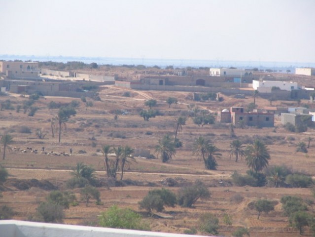 DJERBA - foto