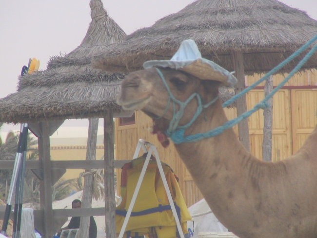 DJERBA - foto povečava