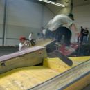 Skate contest - Feldbach (AUT) (22.04.2006)