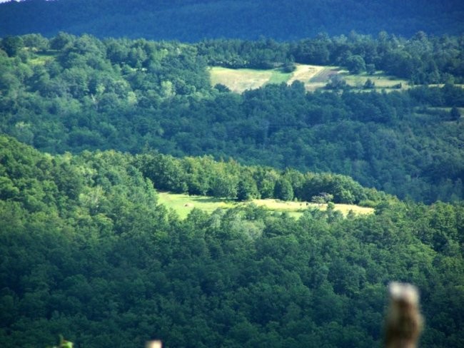 Razno - foto povečava