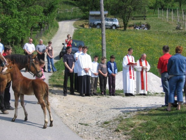 ŽEGNANJE KONJEV SV.JURIJ - foto