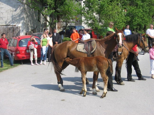 ŽEGNANJE KONJEV SV.JURIJ - foto povečava