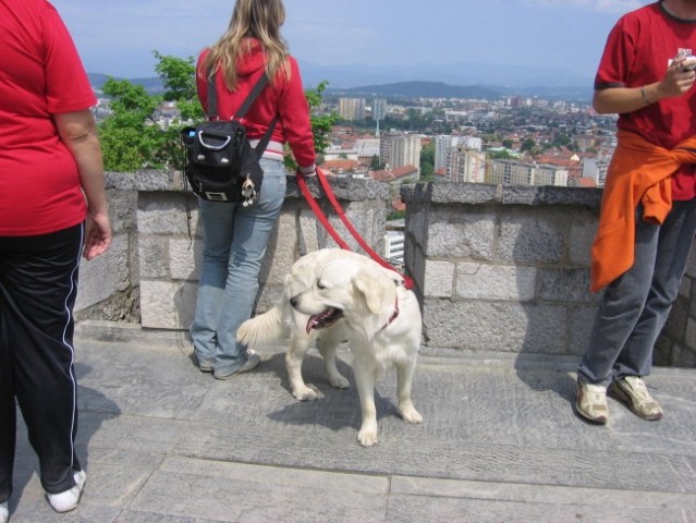 ŽIVALSKI VRT IN GRAD LJ.... - foto